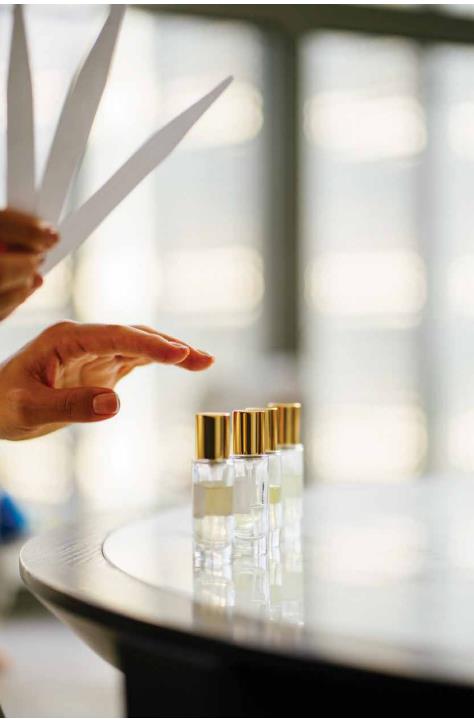 5314955911548041 image