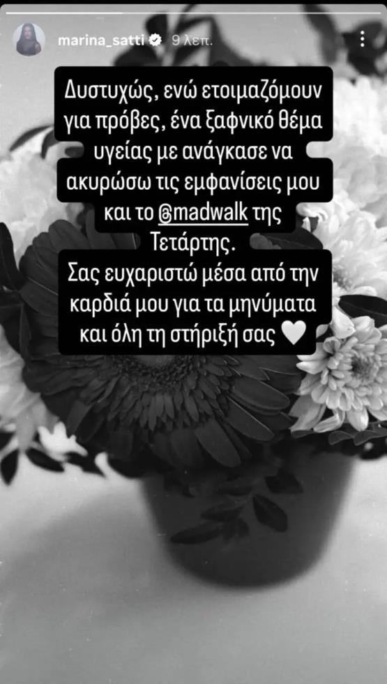 5332888963437088 image