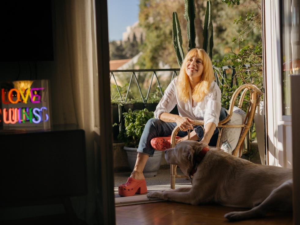 5338096476129469 image