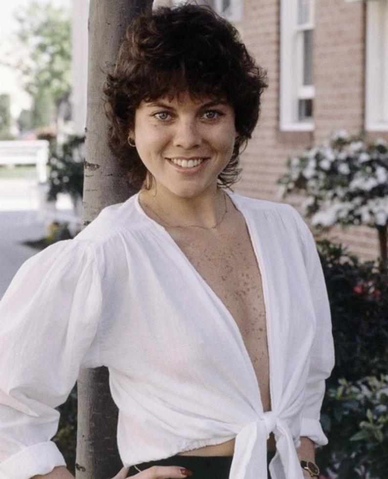 5358840300629311 image