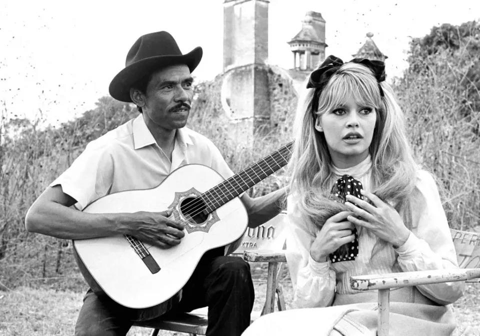 5361554822590407 image