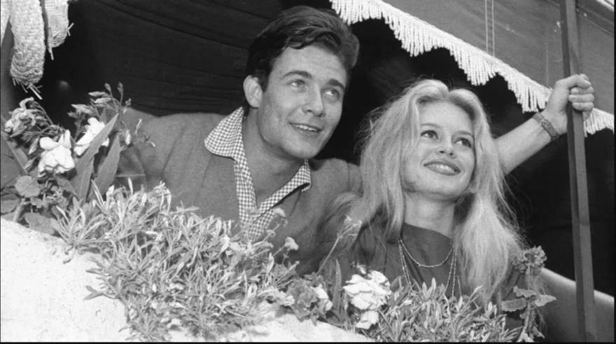 5361834113190502 image