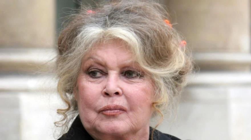 5361834847418375 image