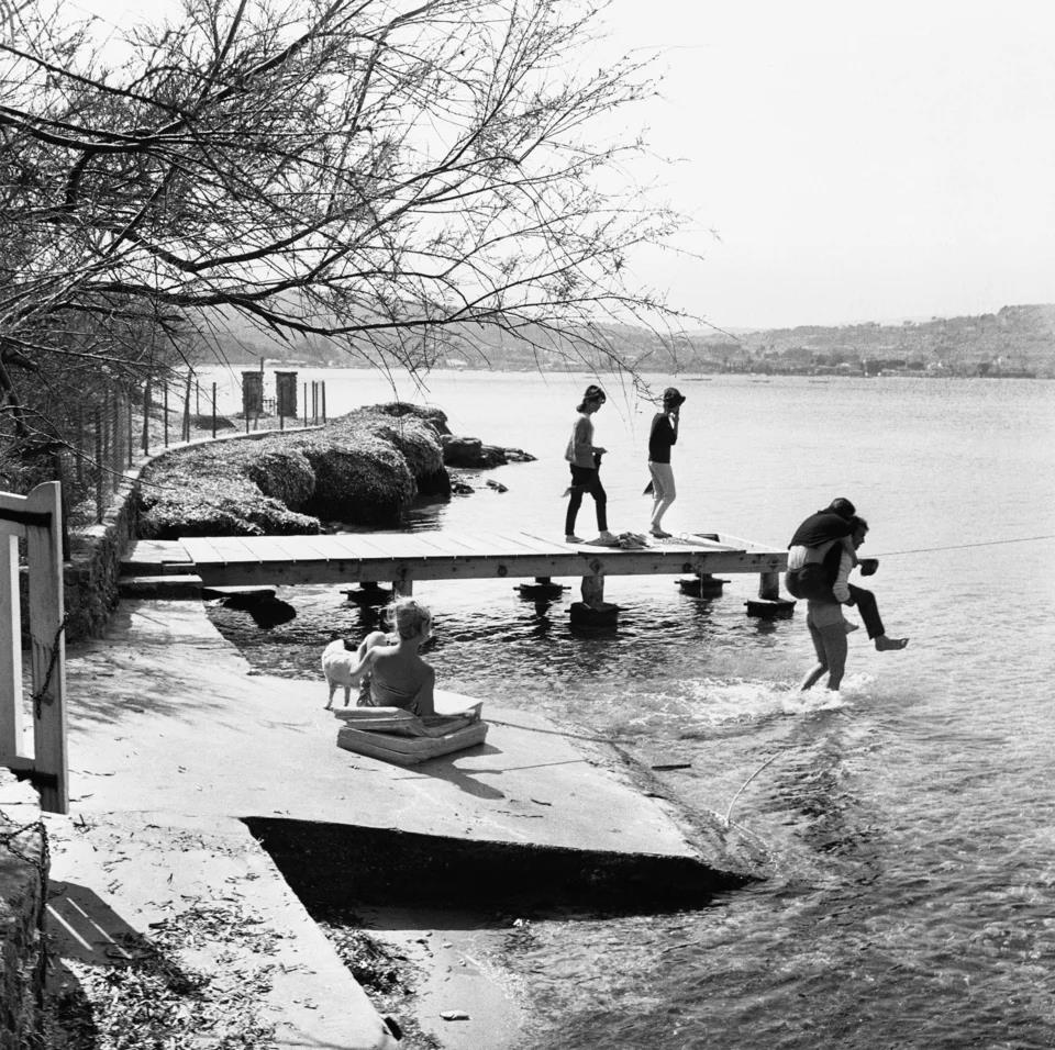 5362519159243036 image