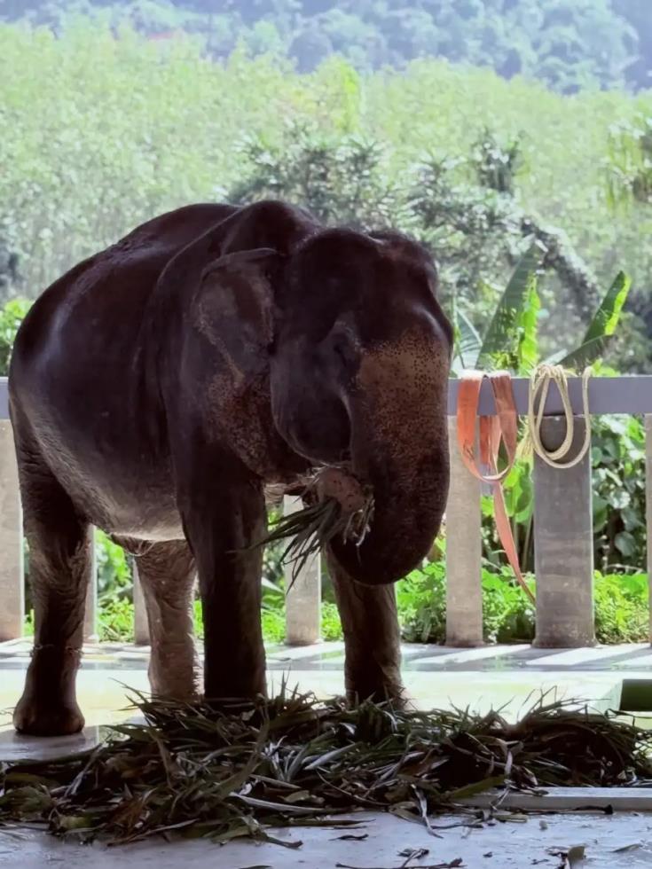 5366166581306668 image