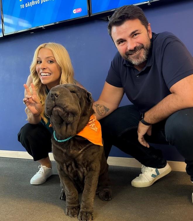 5371880431088215 image