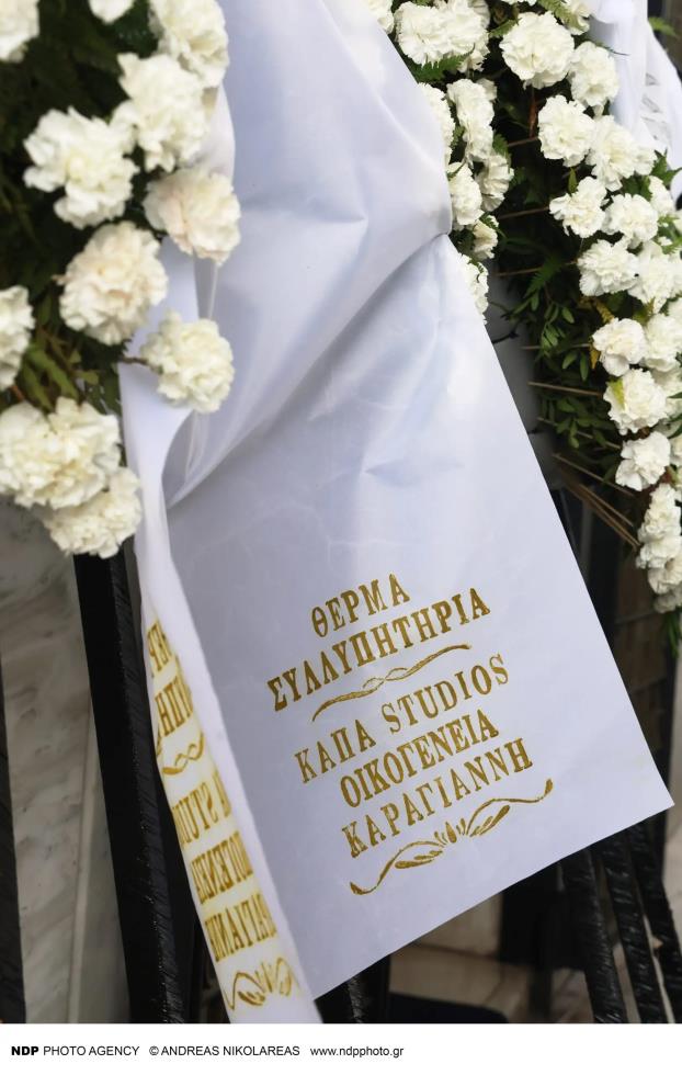 5381470110463502 image