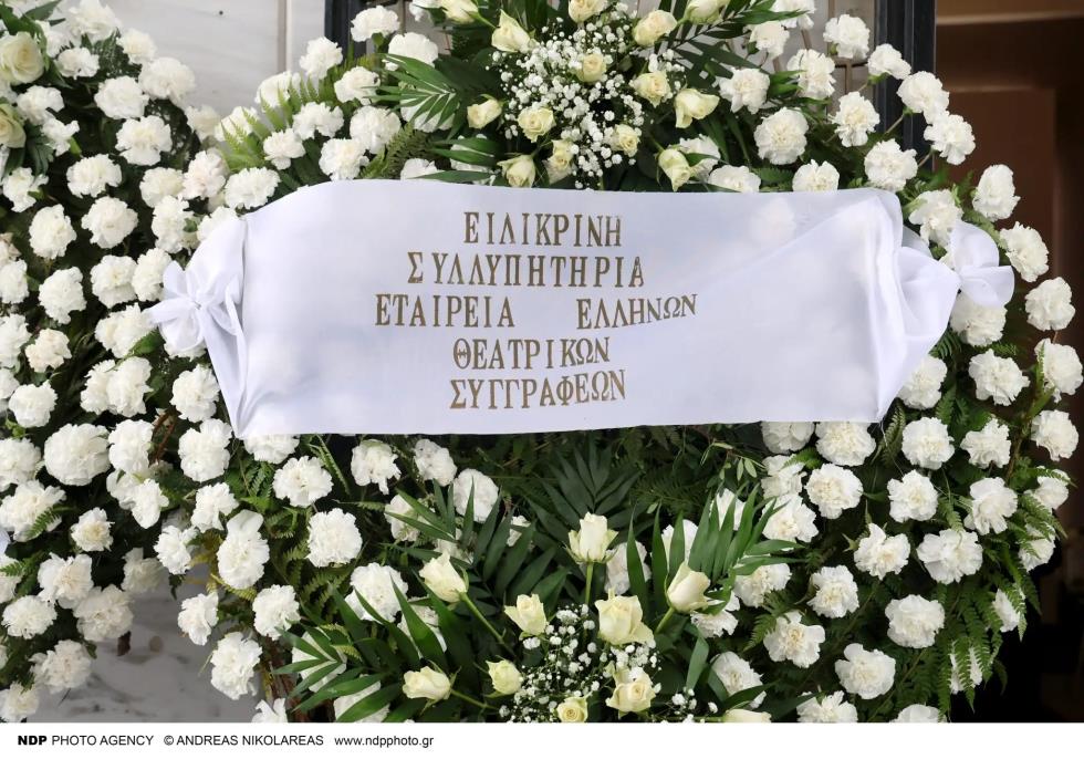 5381470377949118 image