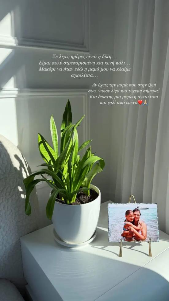 5382152532867155 image