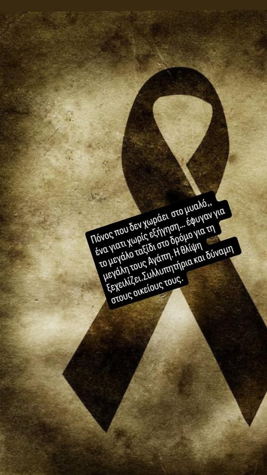 5388240716098778 image