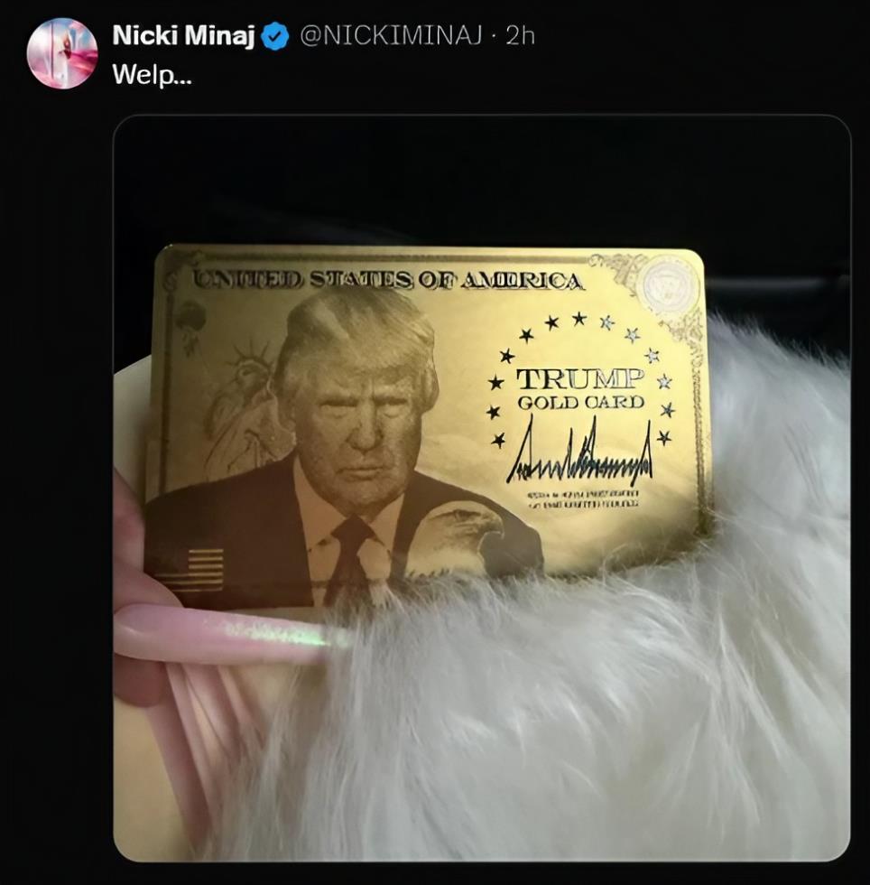 5389185939308073 image