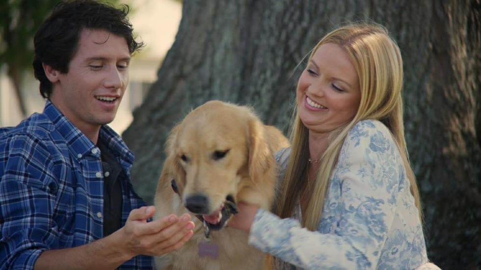 5389206957689383 image