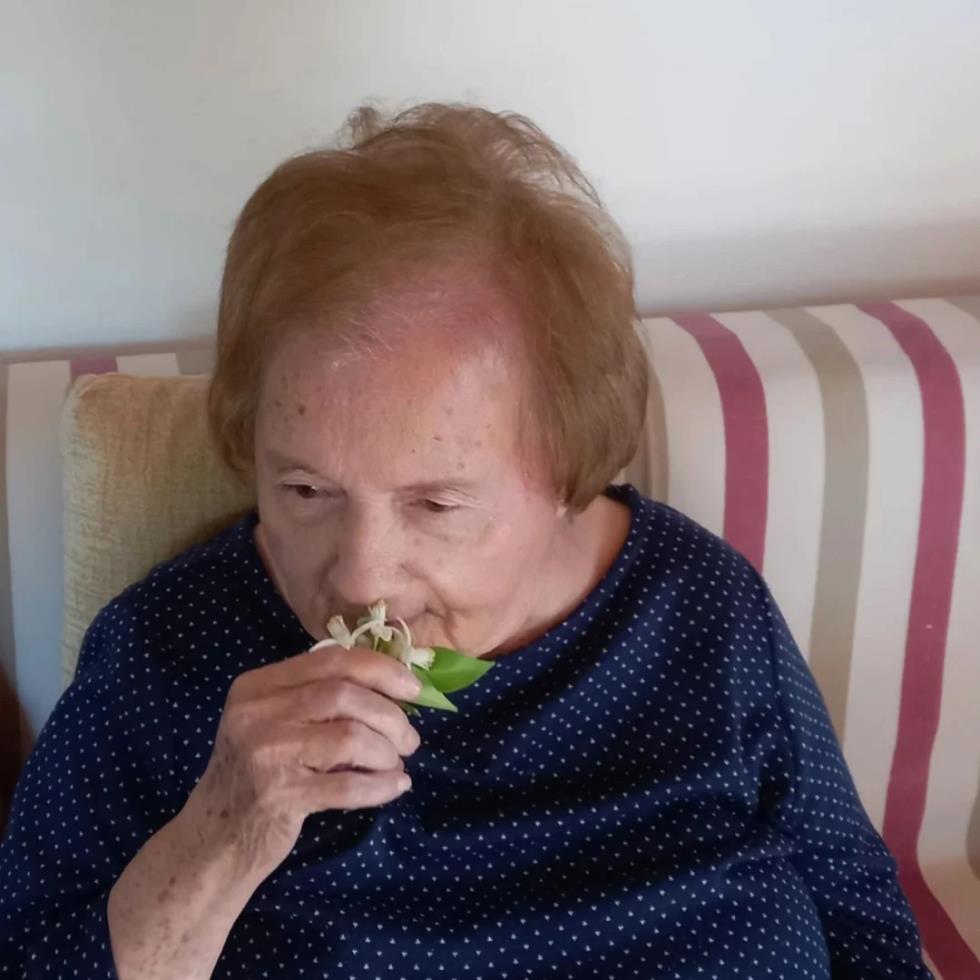 5392548733935618 image