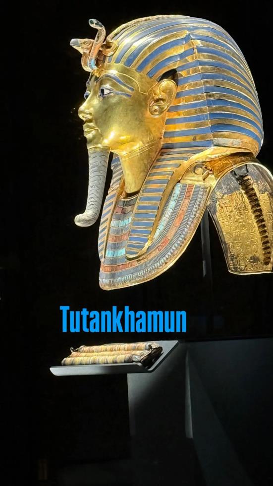 5410665170682891 image