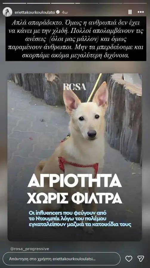 5425344345924763 image