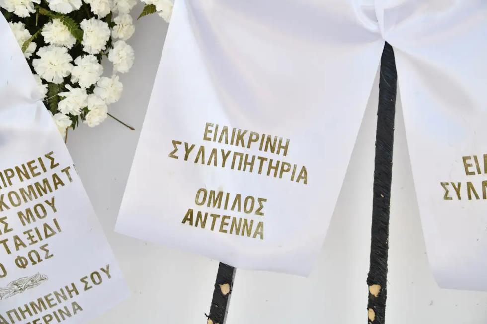 5426362820204215 image