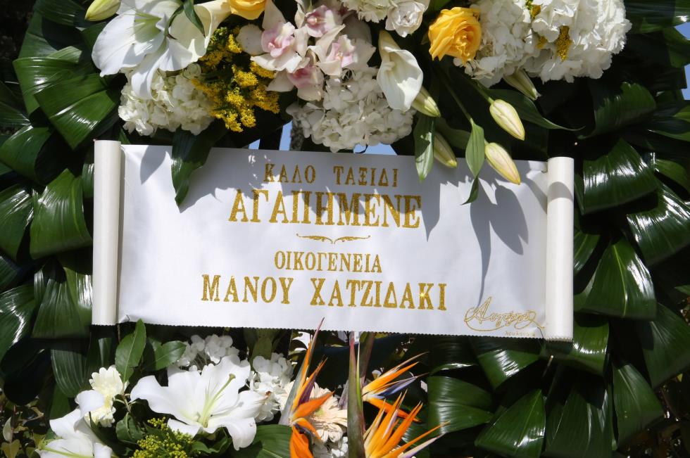 5426379920041264 image