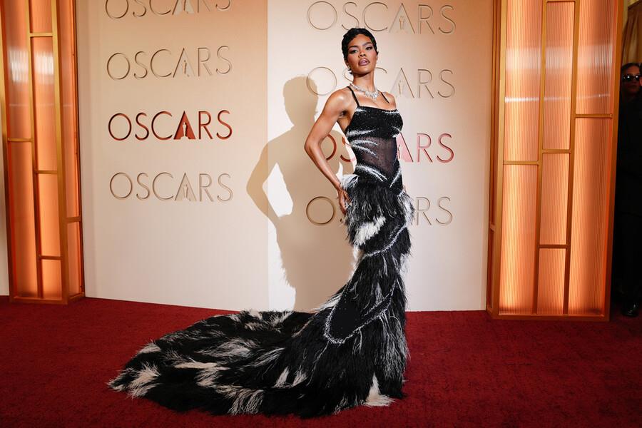 5428810993444278 image