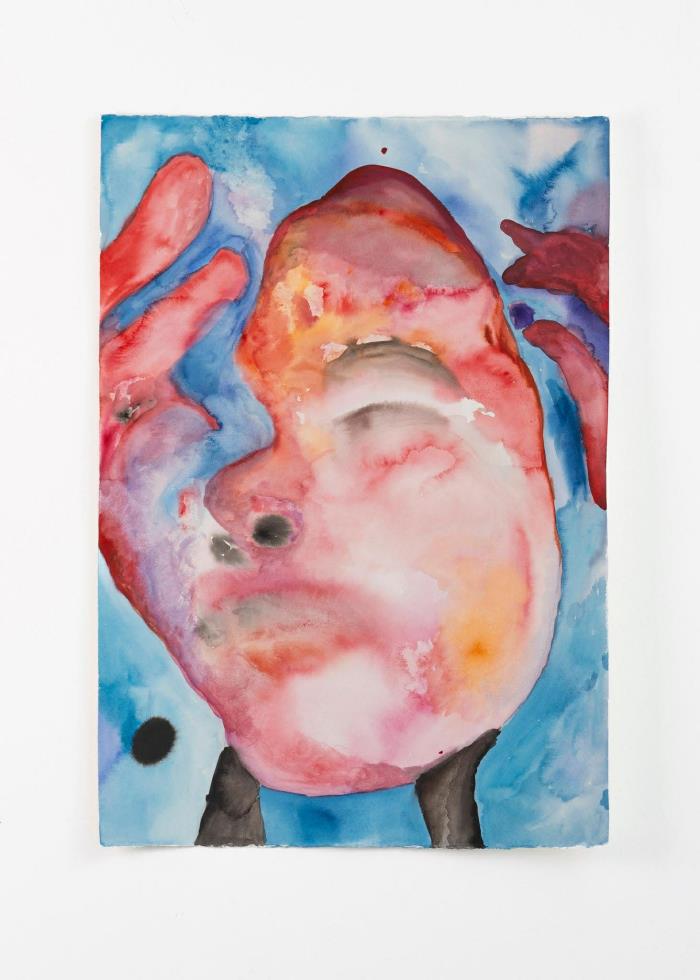 5446993218917013 image